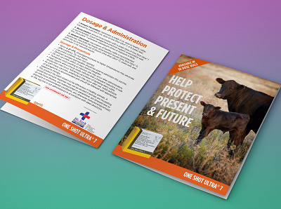 BROCHURE DESIGN FOR CATTLE PRODUCT about page