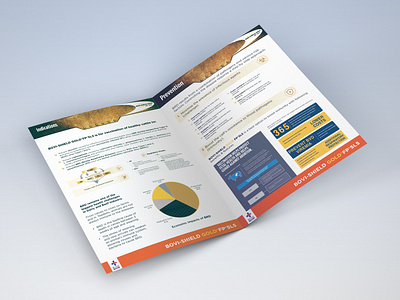 BROCHURE DESIGN FOR CATTLE PRODUCT