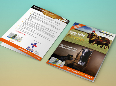 BROCHURE DESIGN FOR LIVESTOCK PRODUCT about page