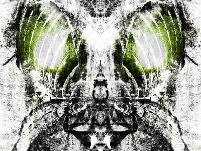 Vermin abstract art blend bug digital evil eye insect symmetry