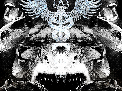 Predator Album Art album cd contrast cover ep gorilla lion metal music raptor shark teeth texture wip