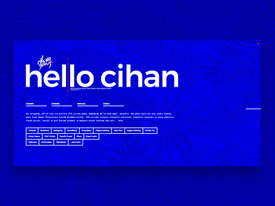 Hello Cihan design ui ux web