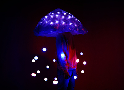 Illuminated Jellyfish 3d design lights