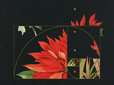 Fibonacci Poinsettia