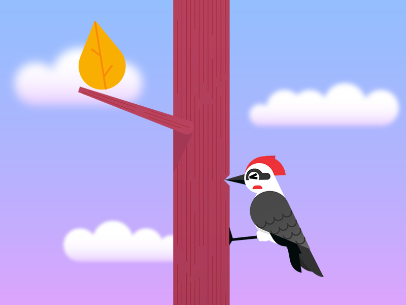 Woodpeeker fall character tree sunset bird woodpecker illustration