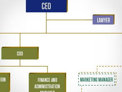 Organization Chart chart organization