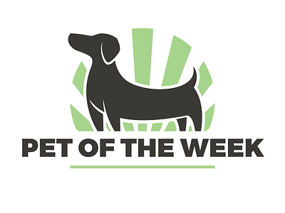 Pet Of The Week dachshund design dog green logo pet pet of the week week