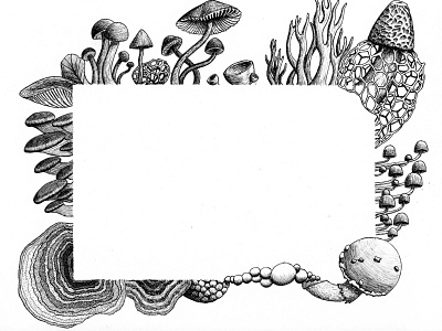 Hand Drawn Mushrooms drawing fungi hand drawn illustration ink mushrooms