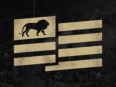 Lion Nation flag football grunge lion minimal orlando orlando city soccer texture