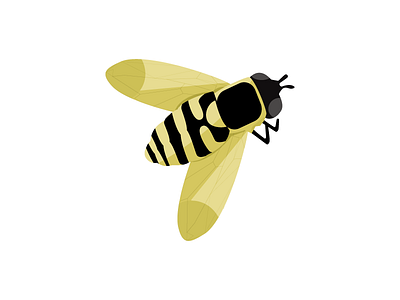 Bee bee bug bumble bee graphic insect vector illustration