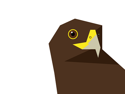 Hawk bird geometric graphic hawk vector illustration