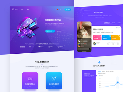 E-commerce data analysis platform Landing page