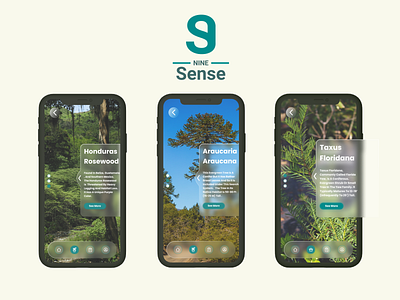 NINE Sense | Sharing Awareness of Endangered Trees