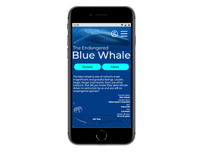 Blue Whale adobe design minimal prototype ui ux