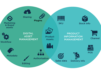 Digital Asset Management System Provider Company in Estonia dam system provider company dam system software