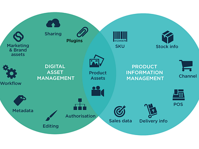 Digital Asset Management System Provider Company in Estonia