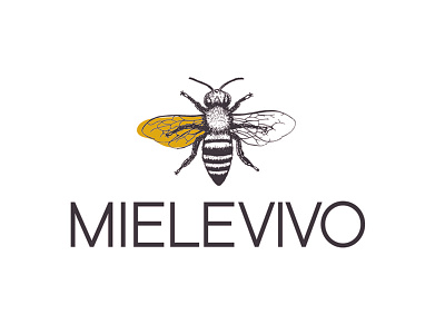 Miele Vivo branding food honey logo design packaging