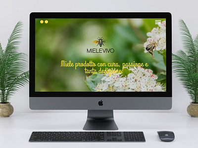 Miele Vivo branding logo design website