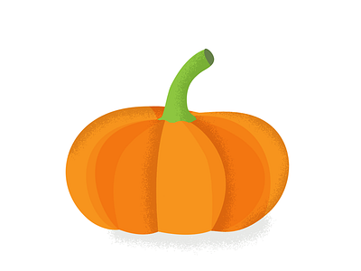 Pumpkin food illustration