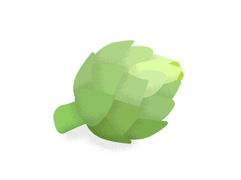 Artichoke green vegetables graphics illustrations artichoke