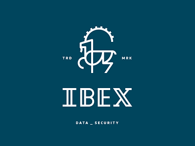 Ibex Data Security