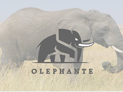 Elephant Minimalist Logo Design