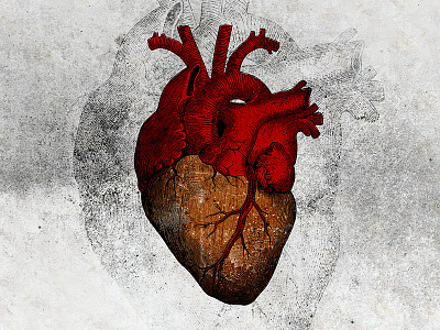 The Heart of the Game art artwork drawing graphidesign heart illustration illustrations
