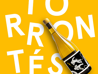 Torrontes - Les Astronautes - Label Design branding design graphic design label typography vector wine