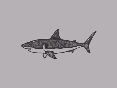 Shark block print design drawing freelance graphic design hand lettering illustration shark