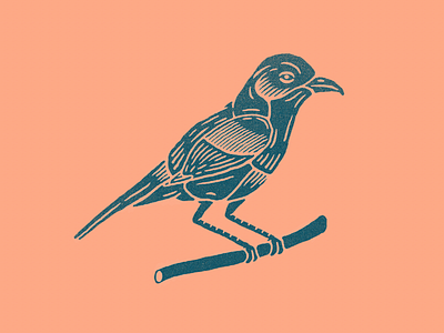Bird Illustration bird design drawing illustration
