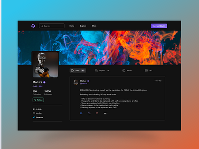 SocialFi User Profile app design figma ui web3