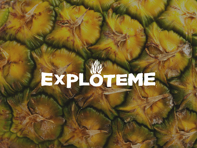 Exploteme Logo Design branding brush lettering logo pineapple typography