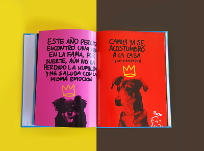 5 años con Paloma Book design gift illustration ink lettering mockup type