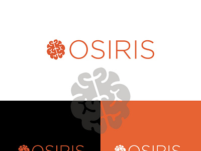 OSIRIS Logo Design 3d branding create a logo design fiverr logo design fiverr logo designer graphic design illustration logo logo design logo designer logo marker motion graphics ui