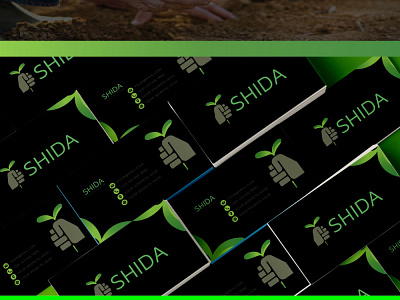 SHIDA Logo Design