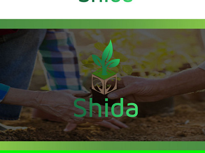 Shida logo Design