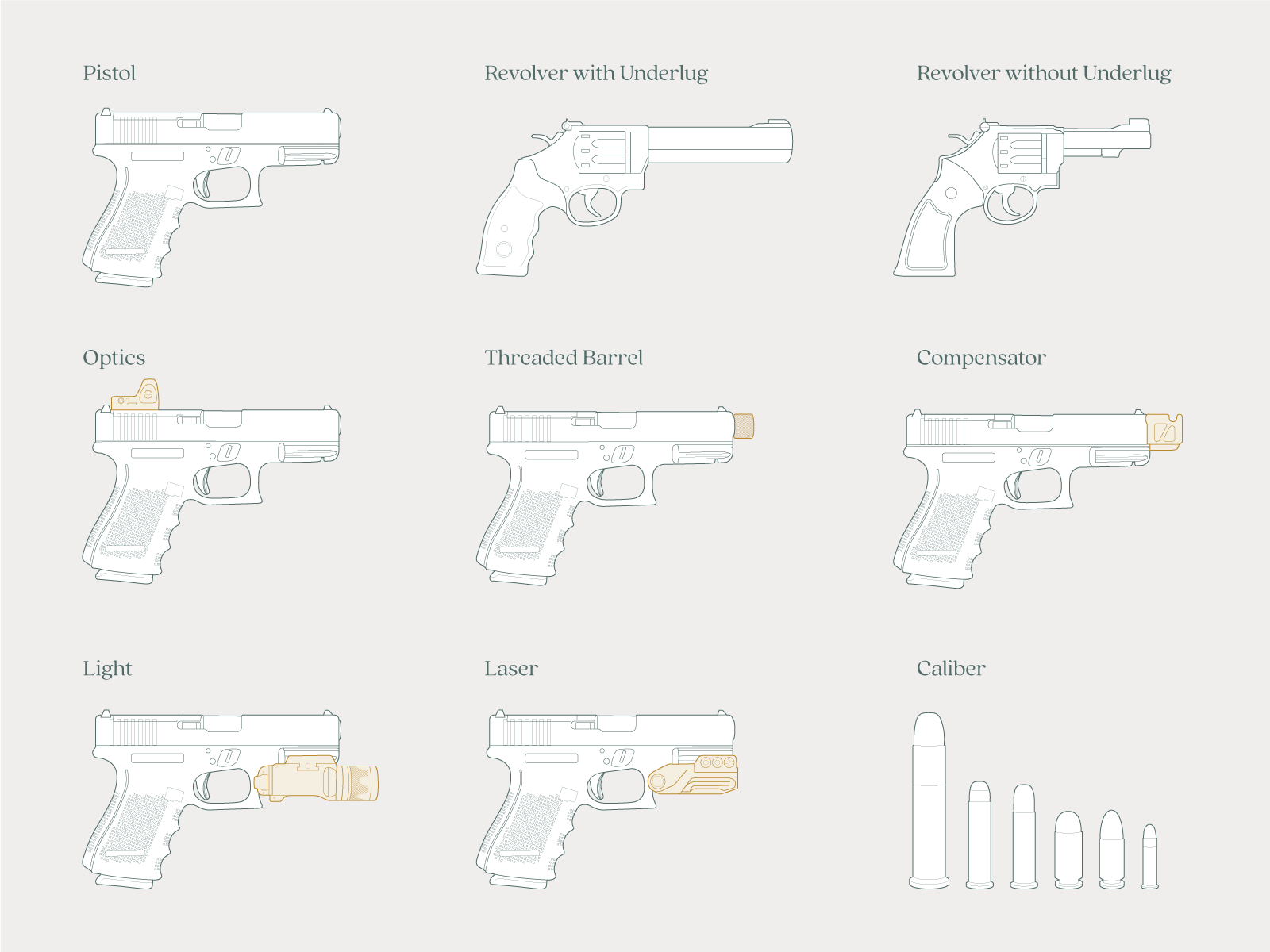 Firearm Component Illustrations illustration infographic vector