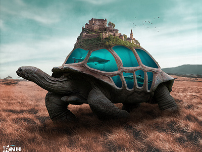 Tortoise underwater surelisme graphic design motion graphics