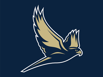 Falcon athletic branding bird branding design eagle falcon hawk illustration logo vector