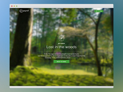 Lost in the woods | 404 404 landing pages nature woods zenpayroll