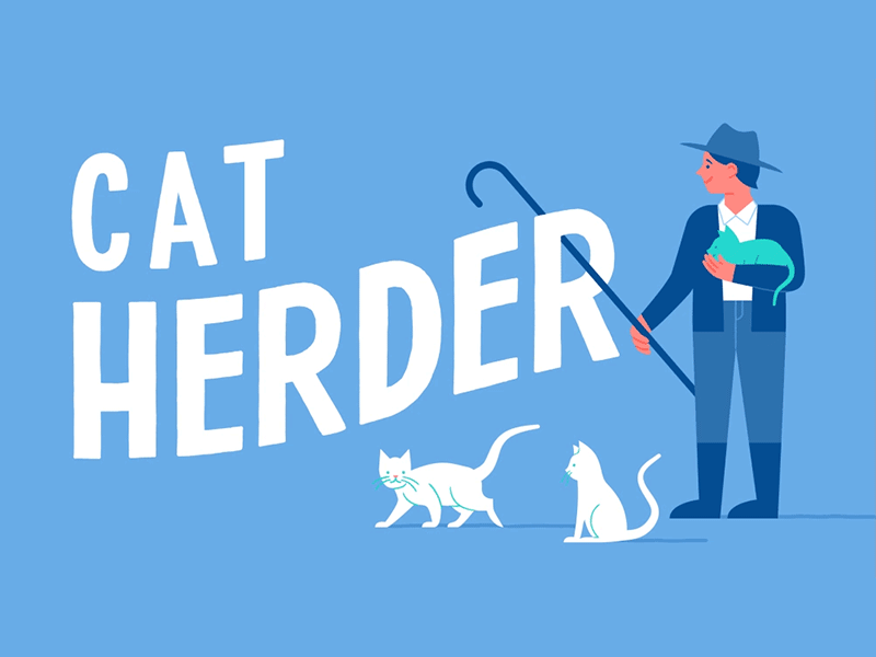 Cat Herder [GIF] animation illustration lettering typography