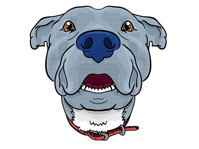 Bayne best friend design digital illustration illustraion love memoriam pitbull vector