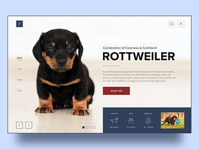 Pet Adoption Concept Website Design