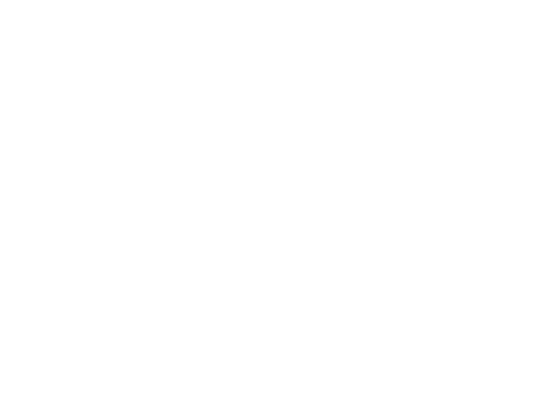 Loading Animations, Take Two (Reports) ux ui power bi microsoft loading kung fu go hawks fried chicken data vis dashboards business intelligence animation