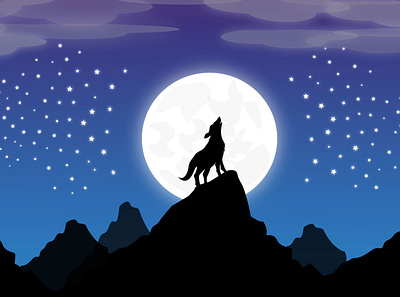 Moon Night Illustration! animation graphic design