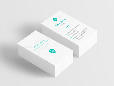 T.E.L. business card branding business card clean cmyk design light print