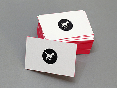 Logo and identity design for Pink Pony Photography