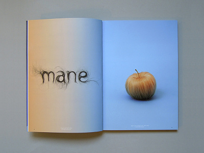 Hair Typography Art magazine 'Bite Me' 3d typography design editorial font hand lettering hand made letter lettering typo typography