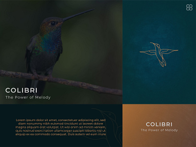 Colibri Logo brand guideline brand identity branding design graphic design indonesia logo vector