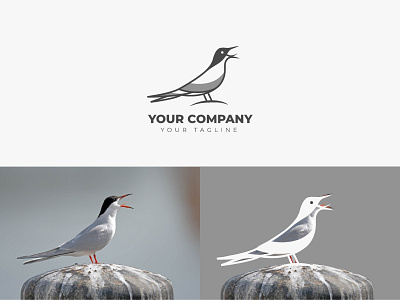 Tern Bird Logo animal beautiful bird bird brand guideline brand identity branding graphic design grey logo paradise bird tern vector